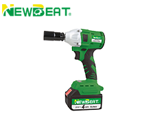 NBT-CIW-21B
